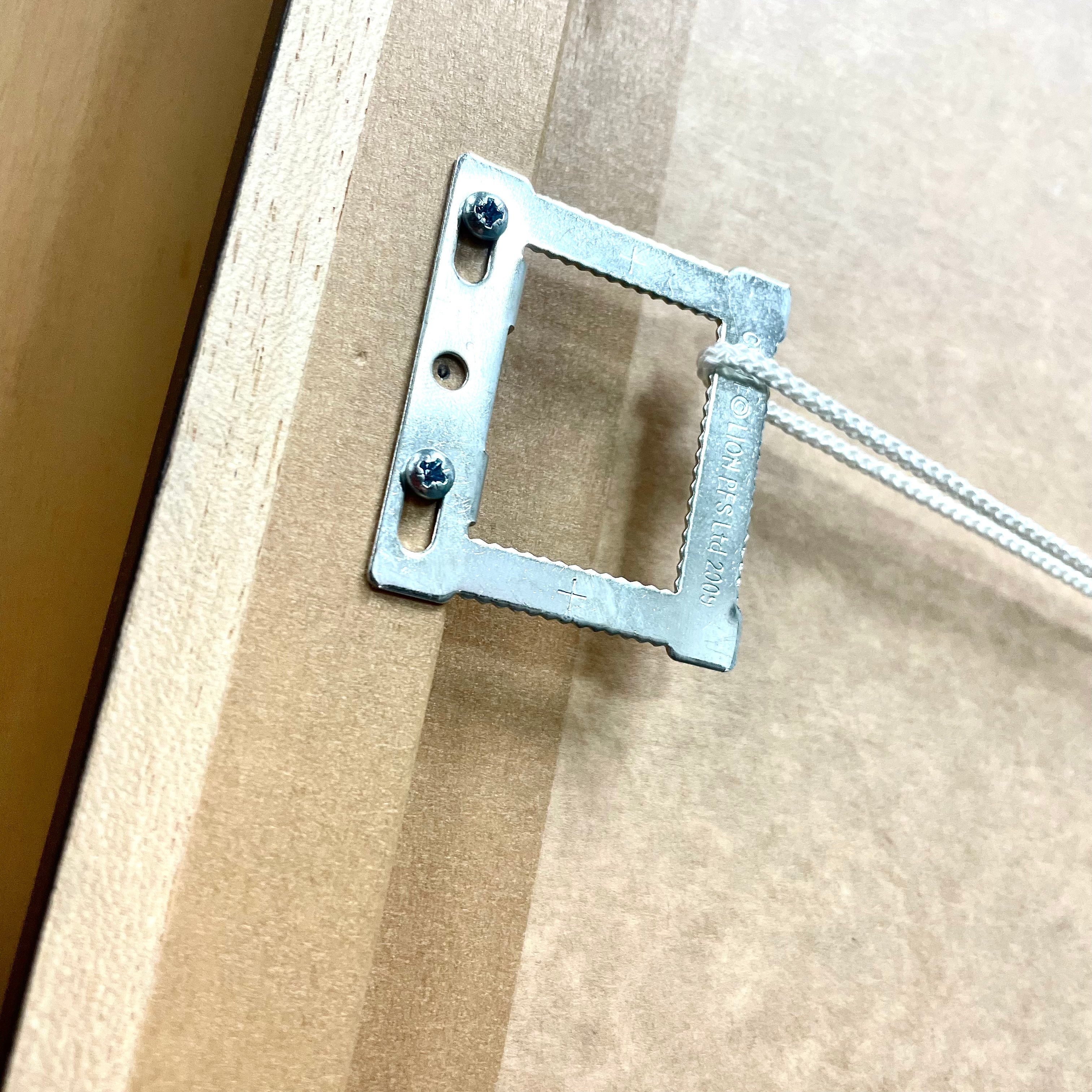 Dory the Jellyfish Print