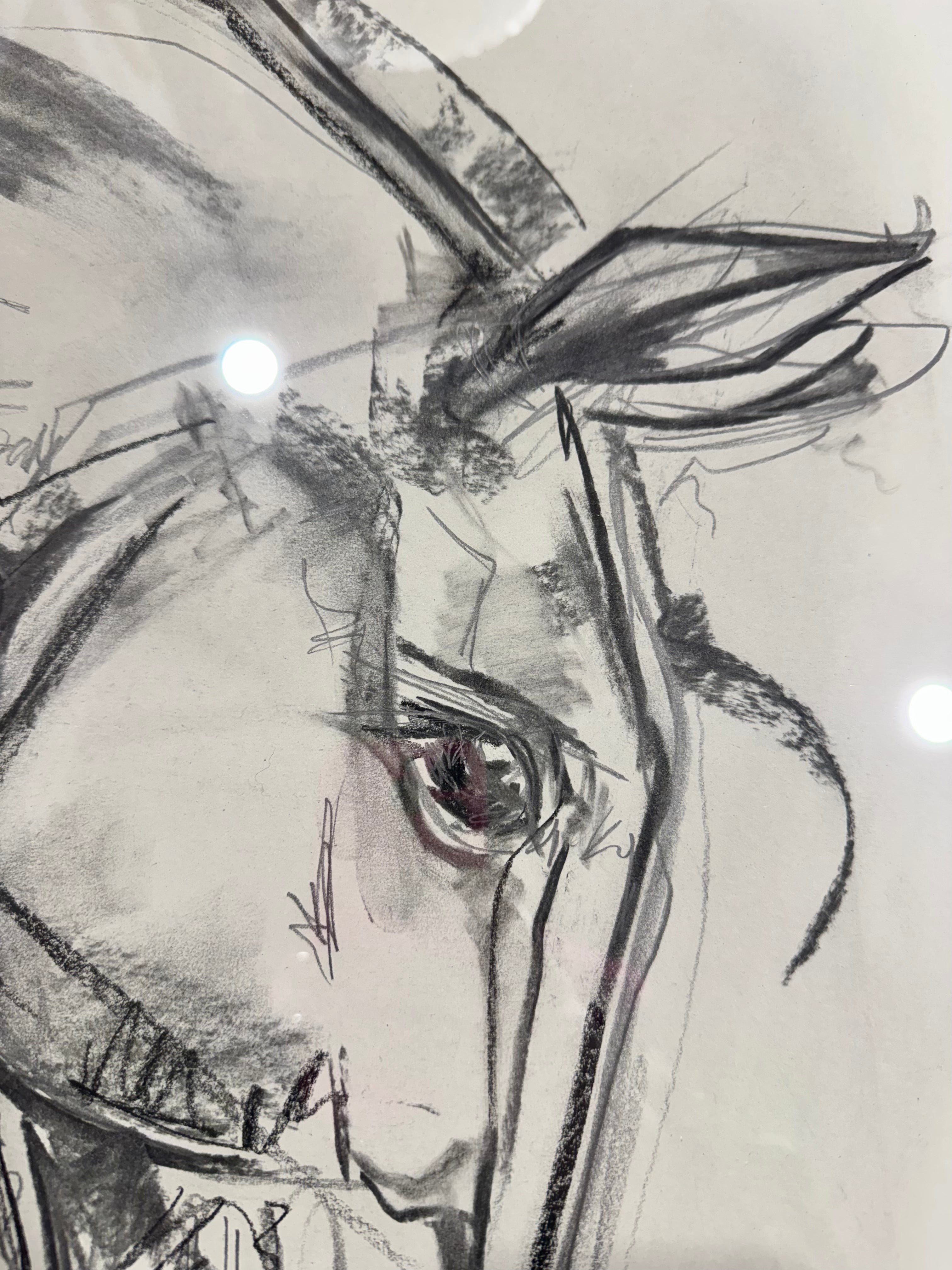 Horse Sketch Large #3