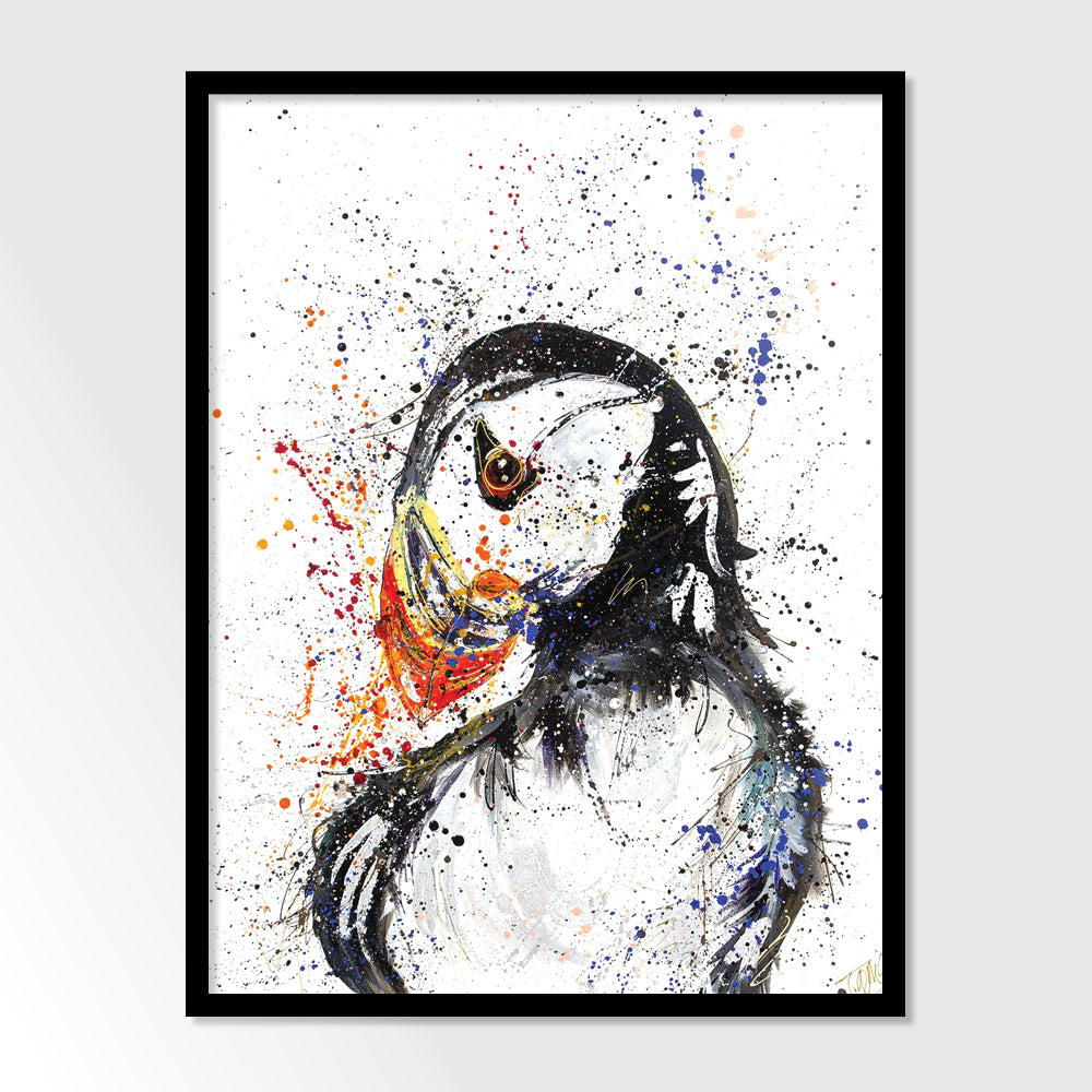 Peter the Puffin
