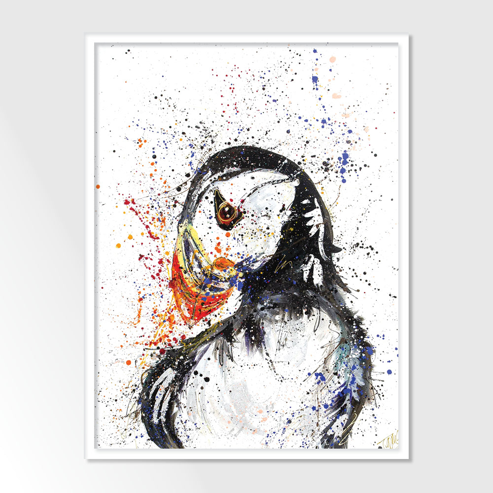 Peter the Puffin